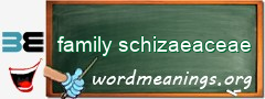 WordMeaning blackboard for family schizaeaceae